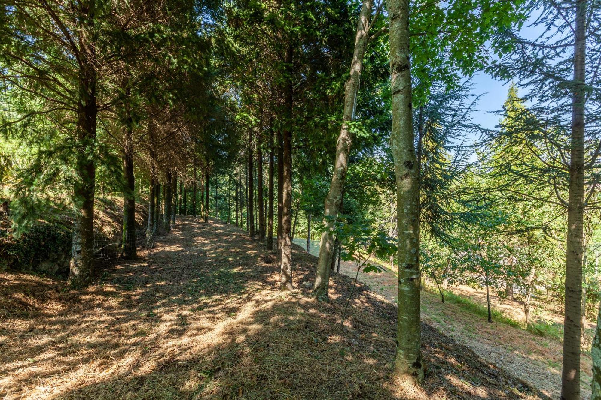Villas Prendal Eco Living - Minho'S Guest Guimarães Exteriér fotografie