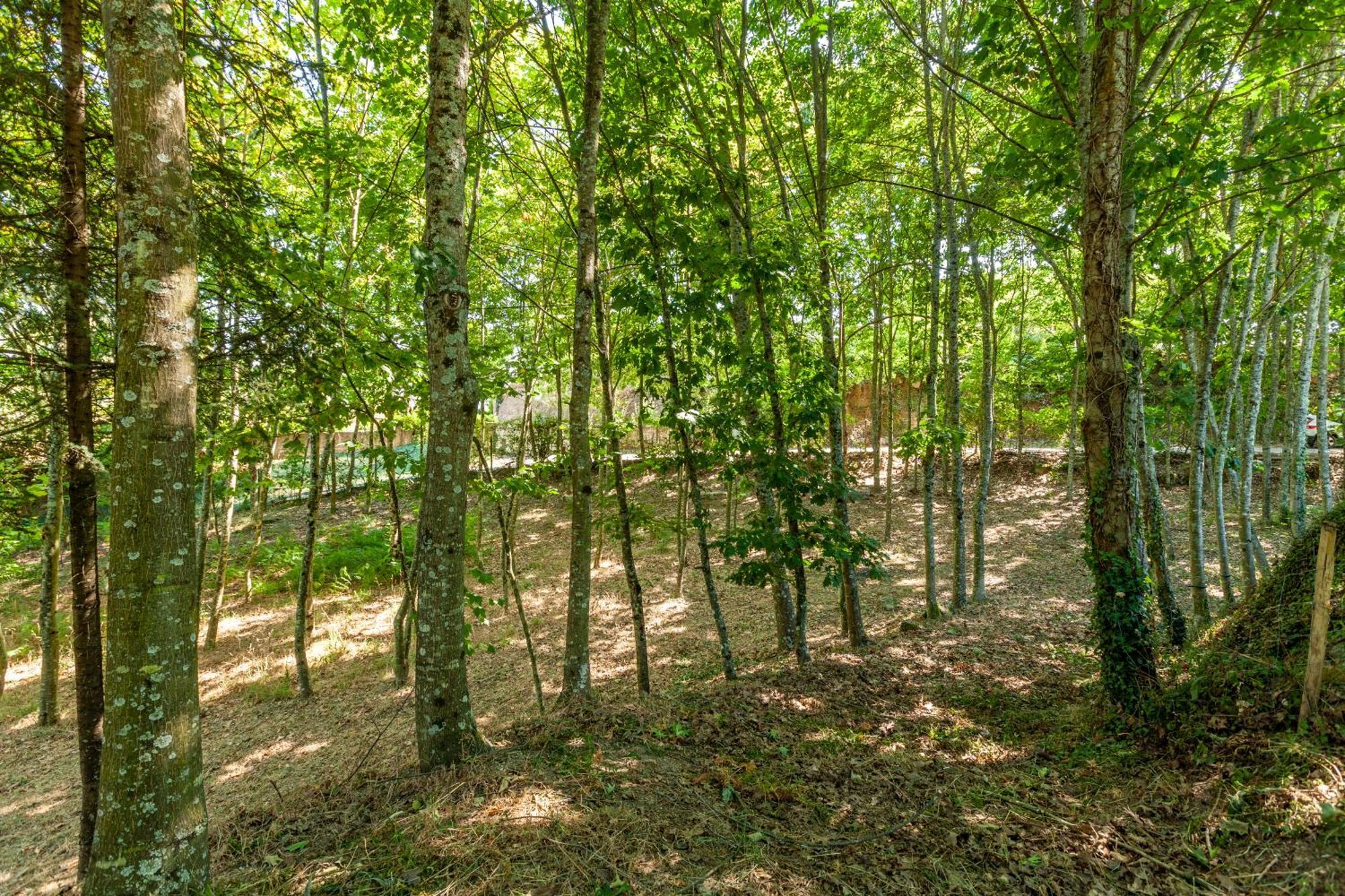 Villas Prendal Eco Living - Minho'S Guest Guimarães Exteriér fotografie