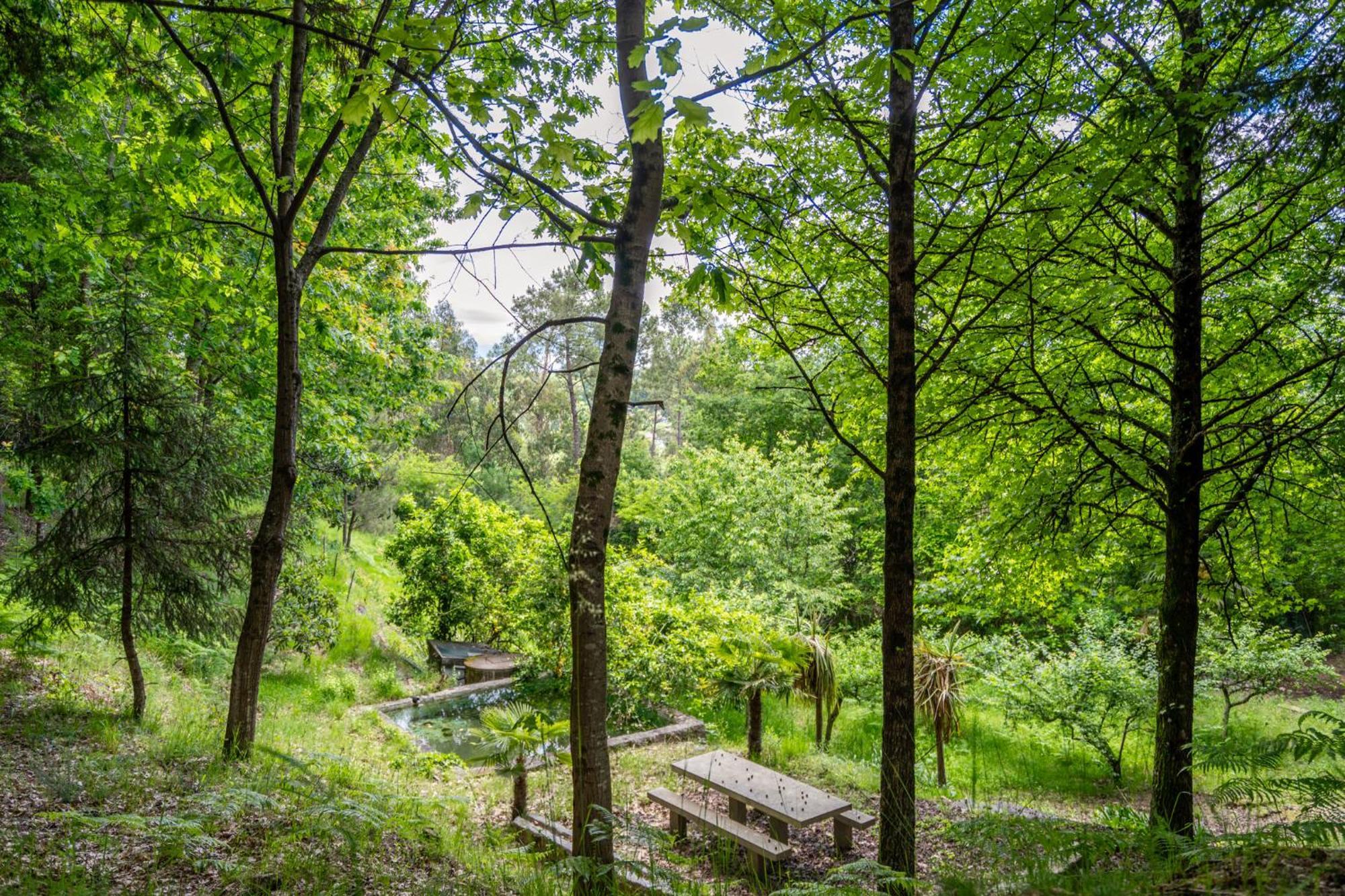 Villas Prendal Eco Living - Minho'S Guest Guimarães Exteriér fotografie