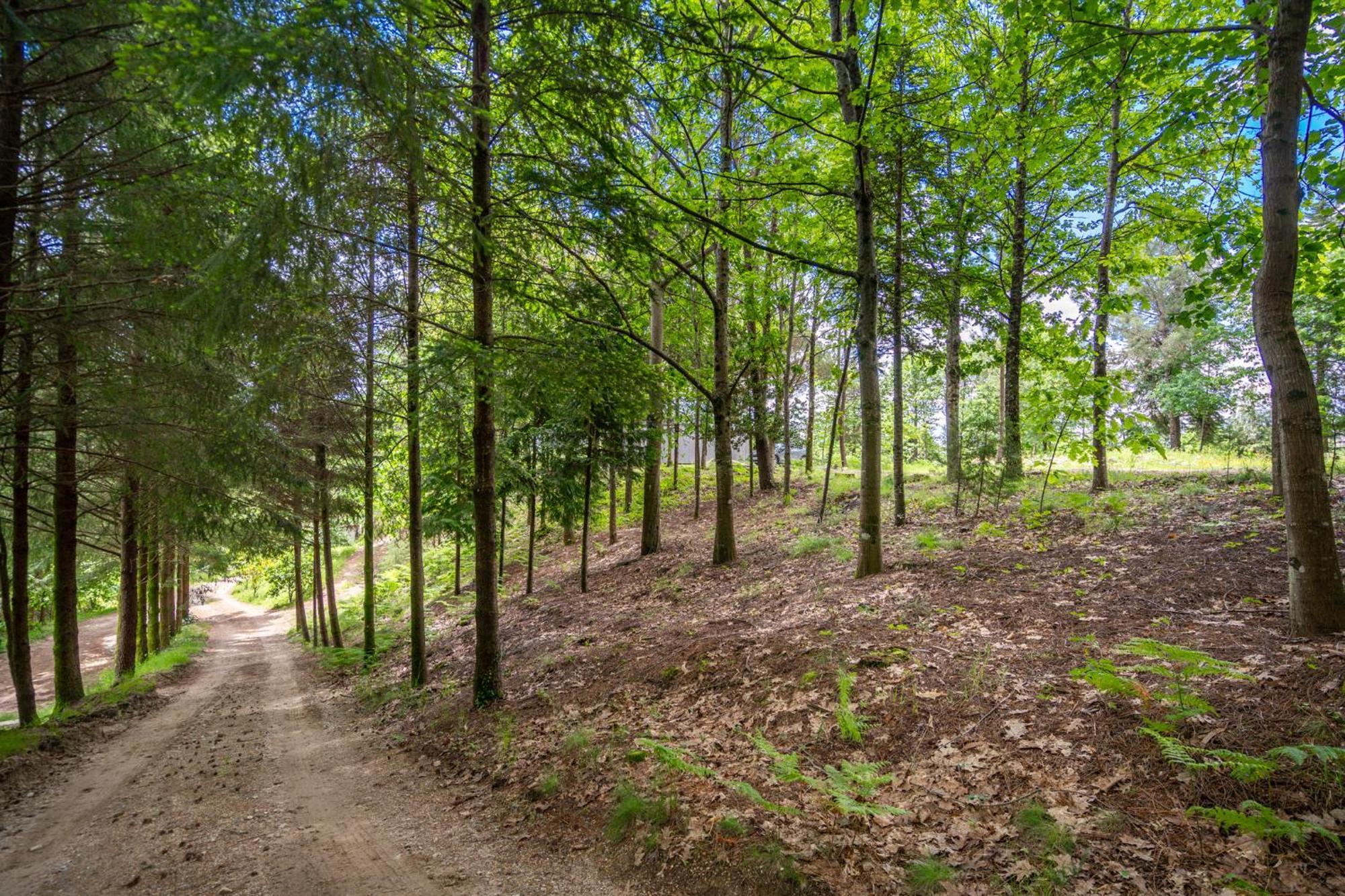 Villas Prendal Eco Living - Minho'S Guest Guimarães Exteriér fotografie
